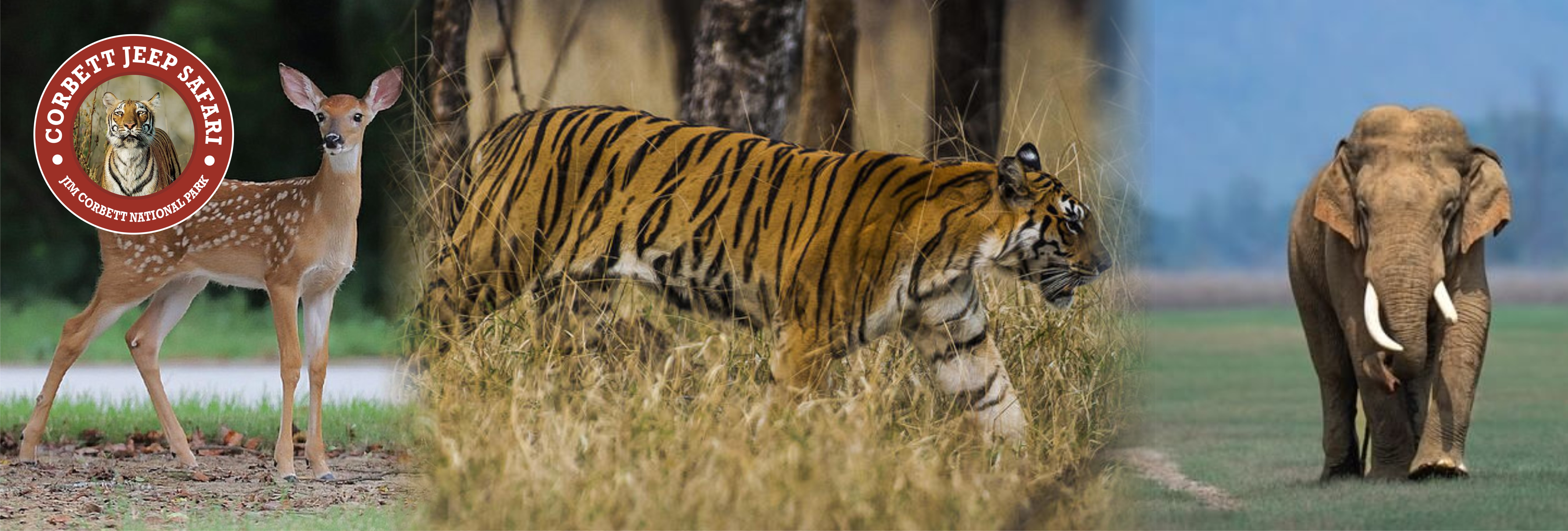 Do's And Don'ts : Corbett Tiger Reserve