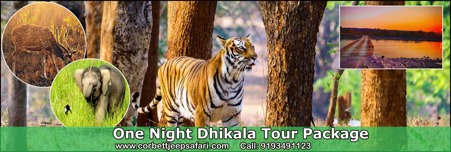 One Night Dhikala Tour Package