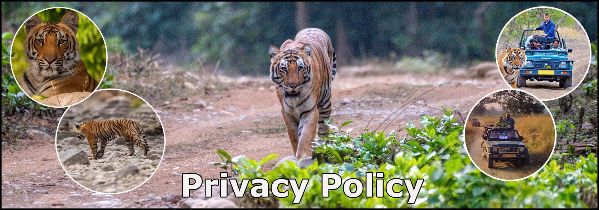 Privacy Policy