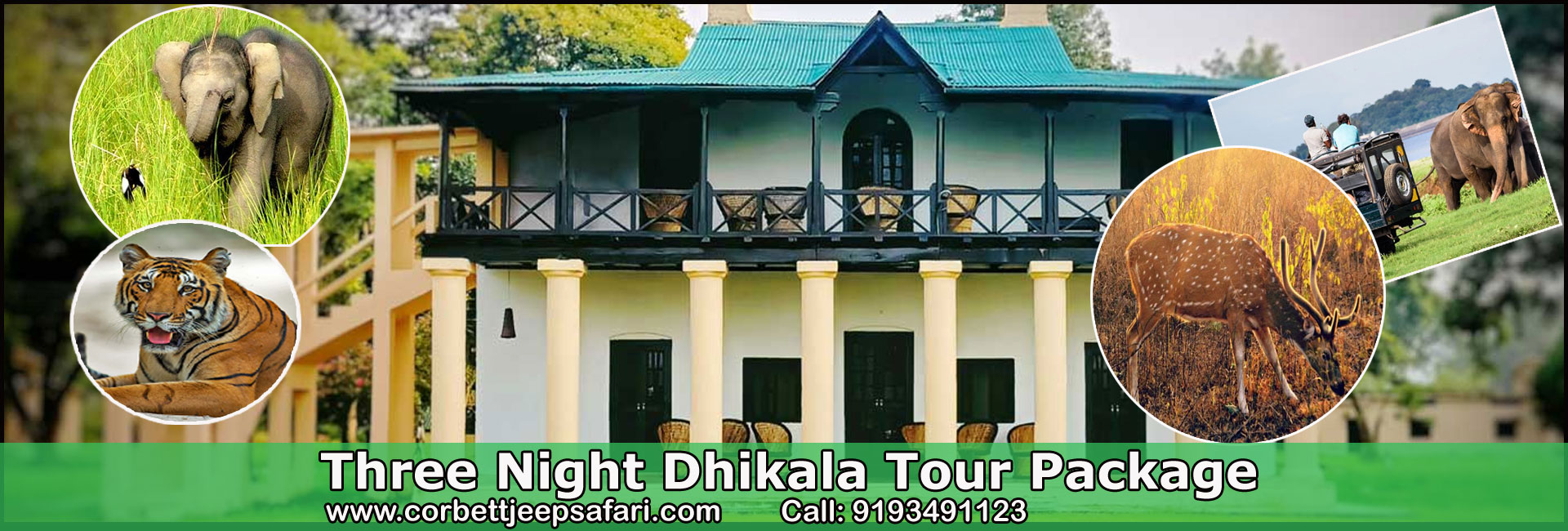 Two Night Dhikala Tour Package